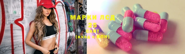 a pvp Дмитровск