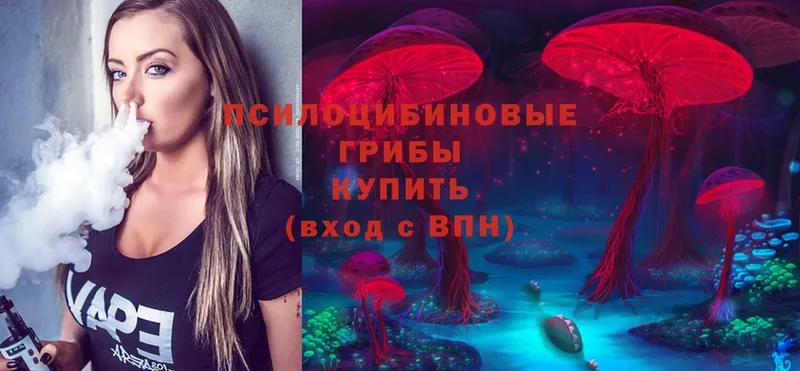 Галлюциногенные грибы Psilocybe  Ершов 